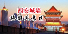 大鸡吊日B中国陕西-西安城墙旅游风景区