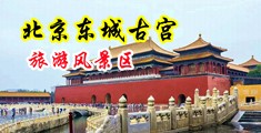 欧美老屌老逼资源站中国北京-东城古宫旅游风景区